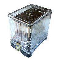 ���� �������������, ���� ��������, ���� �������, ���� ������������, ���� �������, ����